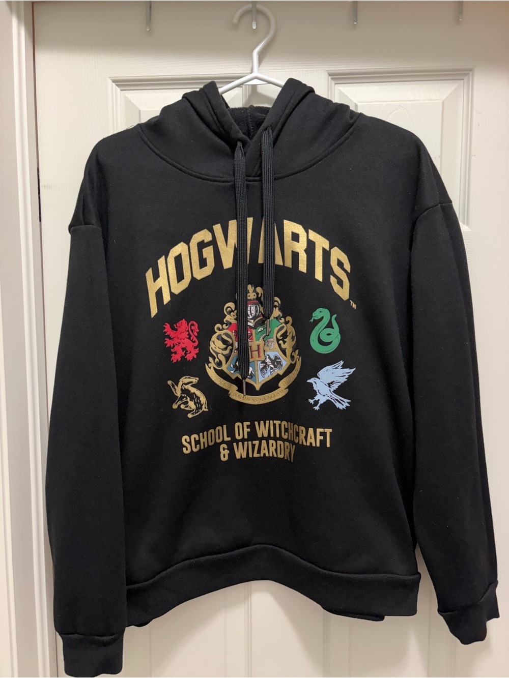 Harry Potter Hogwarts Black Pullover Hoodie with Crest and House Emblems
